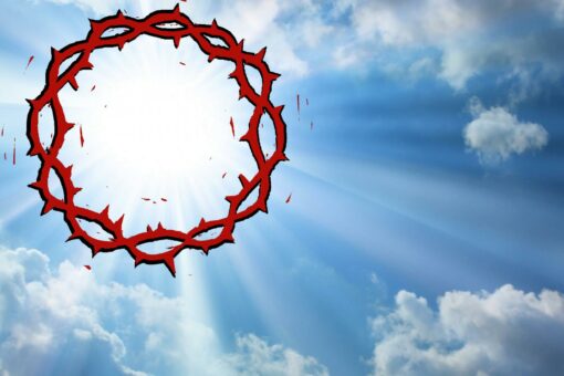 Notre Seigneur Jésus Christ Roi de l’Univers 2022 – Franciscains Bruxelles